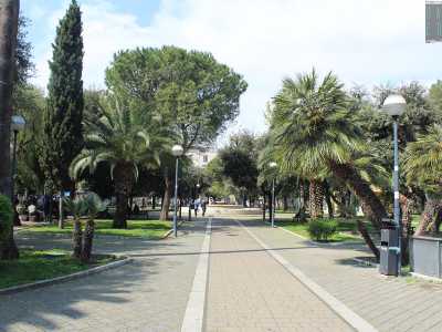 Da questo punto partono poi i viali che conducono in un�area rettangolare in cui protagonista � il verde. Qui piante esotiche quali palme, libocedri, bagolari e acacie...